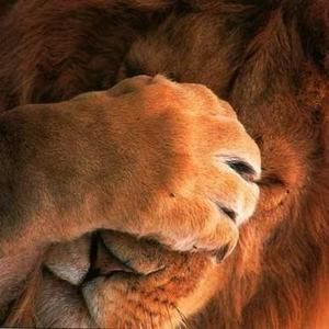 Meet your Posher, Melva